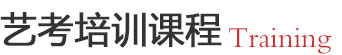 艺考培训课程